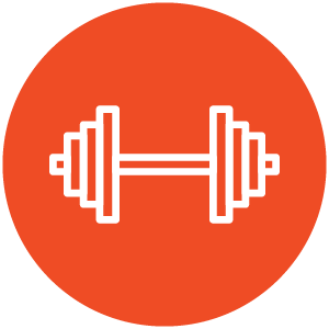 Gym Weight Icon